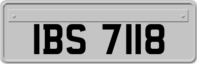 IBS7118
