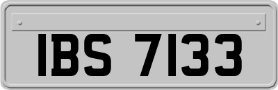 IBS7133