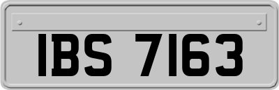 IBS7163