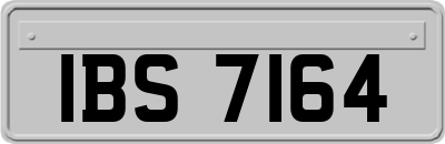 IBS7164