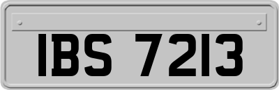 IBS7213