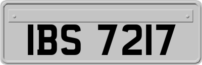 IBS7217