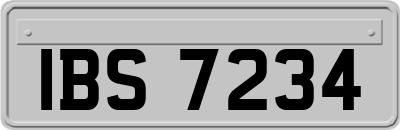 IBS7234