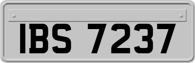 IBS7237