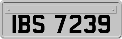 IBS7239
