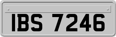 IBS7246