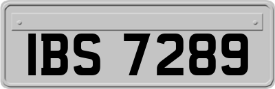 IBS7289