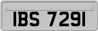 IBS7291