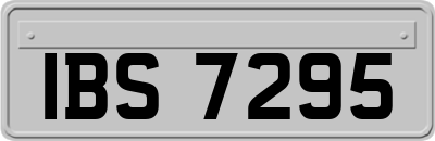 IBS7295