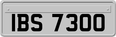 IBS7300