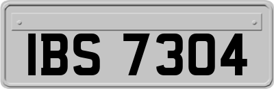 IBS7304