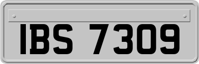 IBS7309