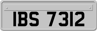 IBS7312