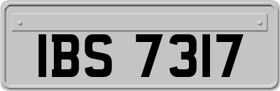 IBS7317