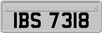 IBS7318
