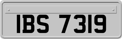 IBS7319