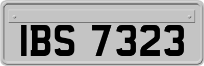 IBS7323