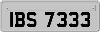 IBS7333
