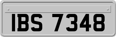 IBS7348