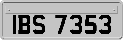 IBS7353