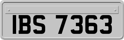 IBS7363