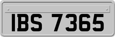 IBS7365