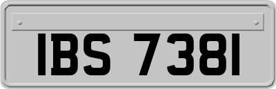 IBS7381