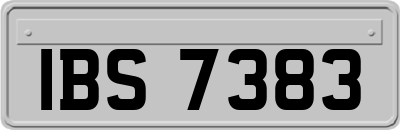 IBS7383