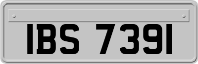 IBS7391