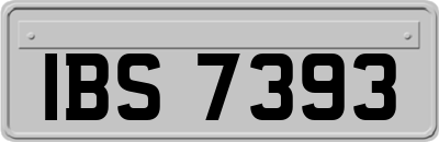 IBS7393