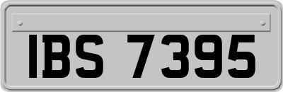 IBS7395