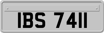 IBS7411