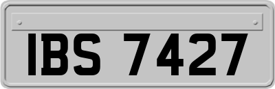 IBS7427