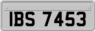 IBS7453
