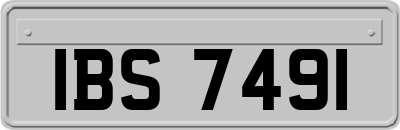 IBS7491