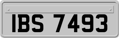 IBS7493
