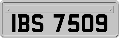 IBS7509
