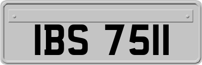 IBS7511