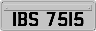 IBS7515