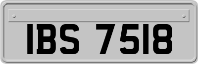 IBS7518