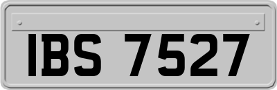 IBS7527