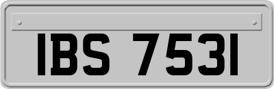 IBS7531