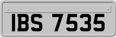 IBS7535