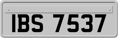 IBS7537
