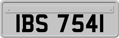 IBS7541