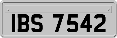 IBS7542