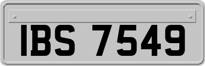 IBS7549