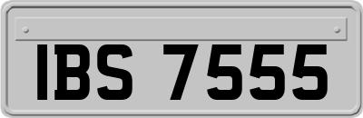 IBS7555