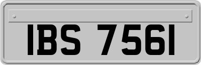 IBS7561