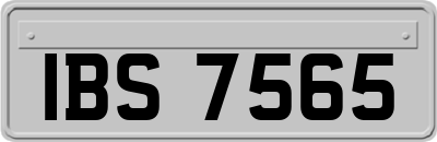 IBS7565